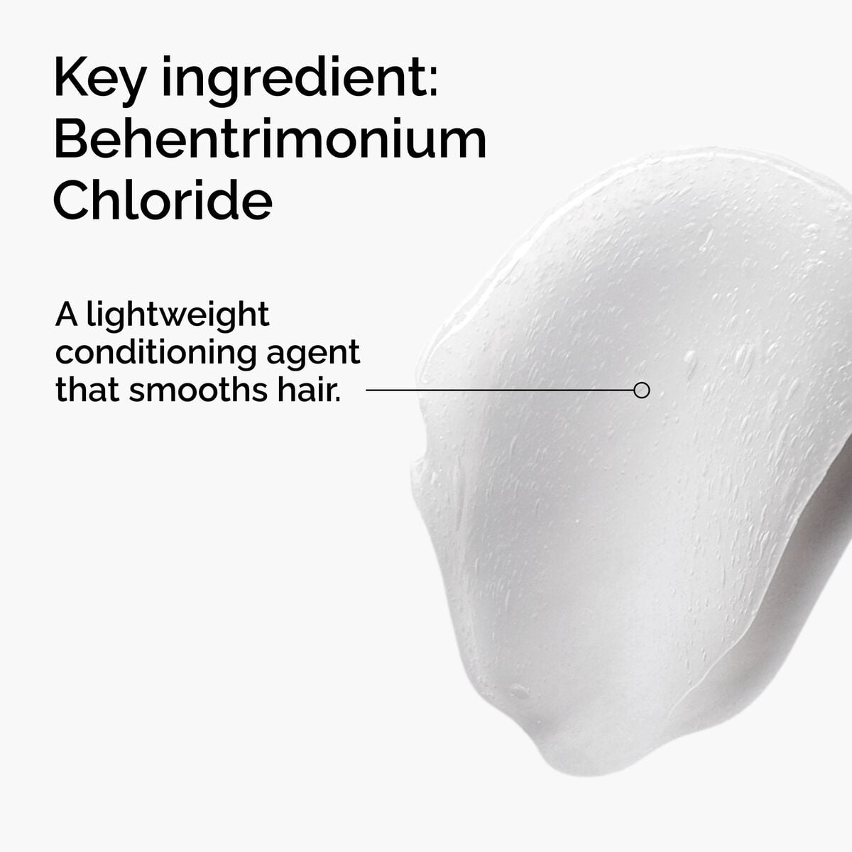 behentrimonium-chloride-2-conditioner-i6 FY25-D41247-ORD-Web-PDP-BTC-1x1-EN-2a.jpg